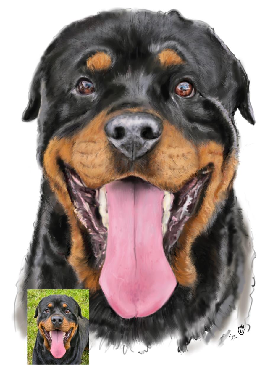 dog portrait produced on the iPad